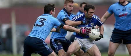 Pic: A dog wearing a ridiculously tiny Dublin jersey was in the crowd at Laois v Dublin today