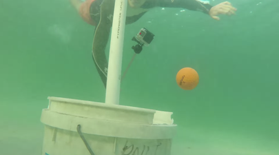 Video: Aussie bloke sinks an underwater hole-in-one
