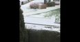 Video: Sligo man reacts to the snow in an over enthusiastic, funny and foul-mouthed way
