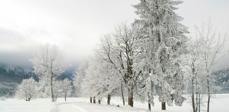 PICS: It’s already snowing in some parts of Ireland