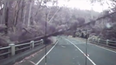Video: Watch as drivers in Australia barely avoid being crushed by falling trees