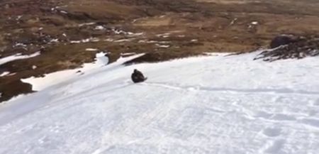Video: Donegal man turns Mount Errigal into a giant slide as he takes a shortcut down
