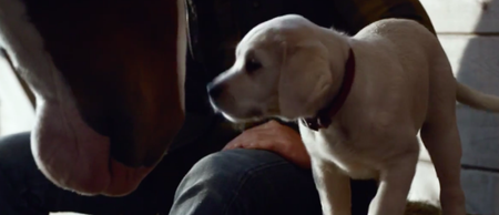 The best thing about the Budweiser Super Bowl ad is the 500 Miles cover