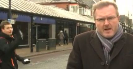 Video: A cheeky pup throwing a snowball at a BBC reporter live on television