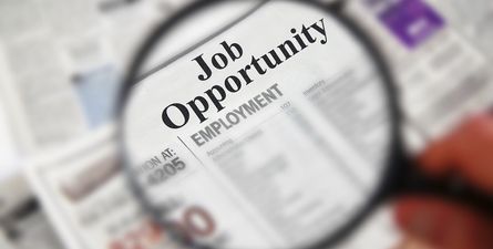 Our top 5 job hunt prep tips to help you land your next career move