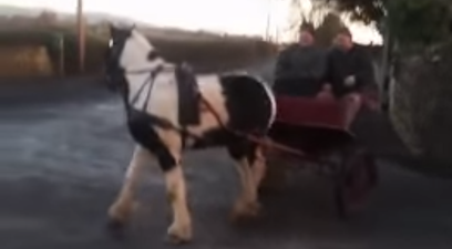 That’s Gas! Two Irishmen and a horse pull off the perfect ‘rural Irish doughnut’