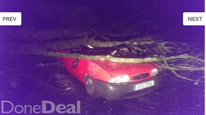 Firewood Fiesta, a confession box and Nidge’s trainers: 8 of JOE’s favourite DoneDeal adverts