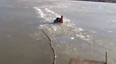 Video: Man smashes his way through frozen lake to save stranded dog
