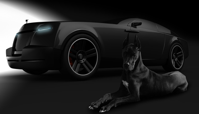 Pics: This Rolls-Royce shooting brake concept has been designed for dogs