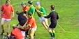 Video: A retro hurling punch-up from the 1989 Wexford senior hurling final