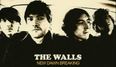 JOE’s Classic Irish Song of the Day: The Walls – To The Bright and Shining Sun