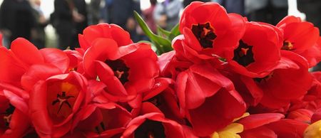 Stop the presses! We’ve found our favourite headline of the week in the Sligo Weekender