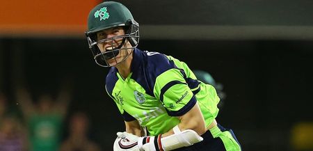Irish tweeters were happy to jump aboard the cricket bandwagon after Ireland’s win over the UAE