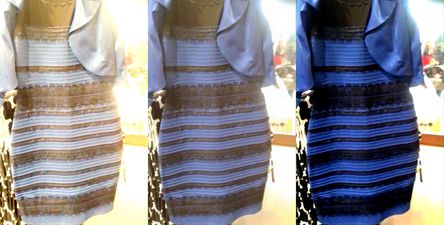 Video: #TheDress now has its very own song