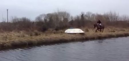 Video: Irish horse refuses to jump obstacle and ends up in the canal