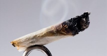 NUIG Students’ Union votes ‘Yes’ to actively support legalisation of cannabis