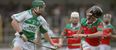 Fantasy GAA XV: A team of All-Ireland club hurling-winning Leinster legends