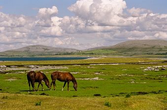 From the Burren to Sally Gap: 5 of the most amazing Irish road trips