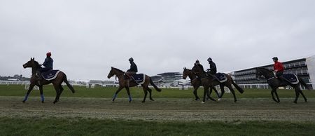 Pic: Irish college students convince mate to place a Cheltenham top jockey bet on a jockey who doesn’t exist