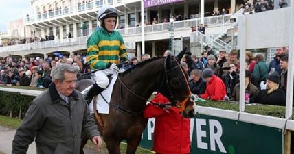 Ladbrokes’ Hayley O’Connor marks your card for day 1 of Cheltenham 2015