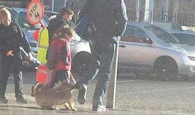 Pic: Fair play to this Dubliner for his very cool reaction to a dog biting at his leg