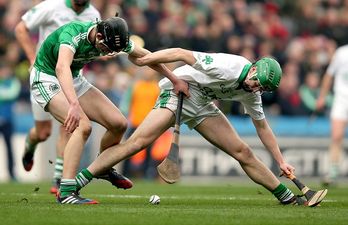 7 things Irish life would be meaningless without