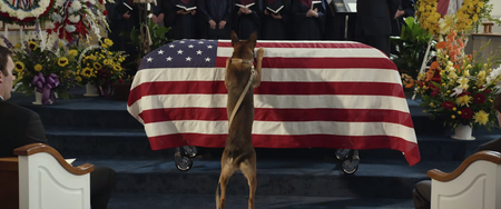 Video: If this trailer for Max the US Marine dog doesn’t hit you in the feels, nothing will