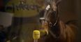 Video: Today FM reveal why there was so much horsing around on their social media this week