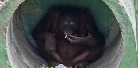 10 good reasons to show smoking that you are a quitter