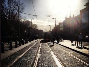 This NSFW anti-litter sign on a Dublin bin tells it like it is