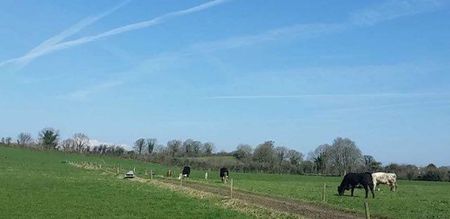 It looks like the sunny weather in Ireland is going to last a bit longer