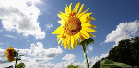 15 things you will definitely see when the sun comes out in Ireland