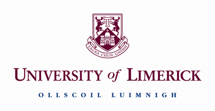 Pic: Looks like the University of Limerick’s website has been hacked by El Moujahidin