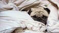 Win: A lazy duvet day thanks to a great charity