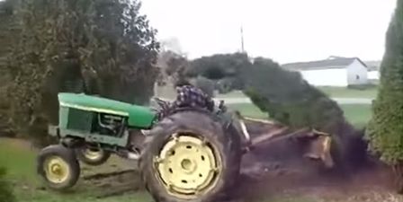 Video: The internet has peaked with this great footage of a tree beating up a farmer
