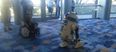 Video: R2-D2 from Star Wars dancing with a young fan in a wheelchair will brighten up your day