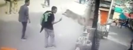 WATCH: Man gives the middle finger to a monkey, the monkey proceeds to dropkick his face