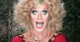 Pic: Panti Bliss sums up the impact of marriage equality in one wonderful tweet