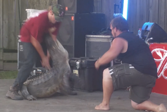 Video: Angry alligator takes a bite out of a guy at a party