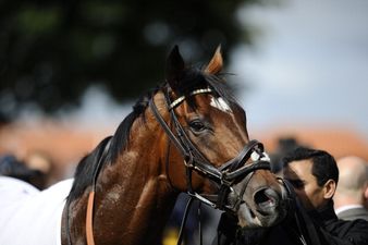 Pic: We may have found the most idiotic #VoteNo poster yet in Naas