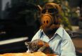 American professor trolls students with Alf reference in course syllabus