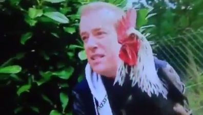 Video: TV3’s Alan Hughes messed with the wrong cock on Ireland AM this morning