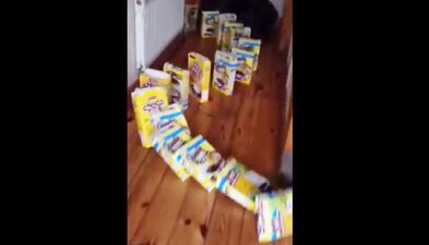 Video: Irish students create giant dominoes set with all of the Coco Pops boxes they ate in first year