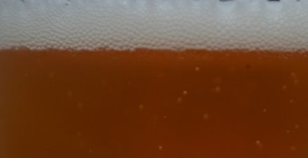 A 7 step guide to embracing craft beer