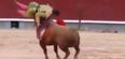 Video: Bullfighter in Spain suffers horrific injuries after getting gored in the neck (Graphic content)