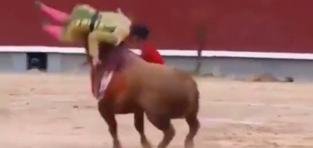 Video: Bullfighter in Spain suffers horrific injuries after getting gored in the neck (Graphic content)