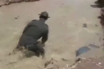 Video: Police officer rescues dog from a swollen river like an absolute champ
