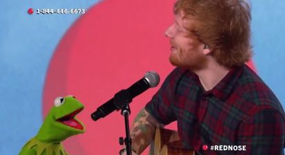 Video: Ed Sheeran and Kermit the Frog’s duet for Red Nose Day will melt the coldest heart