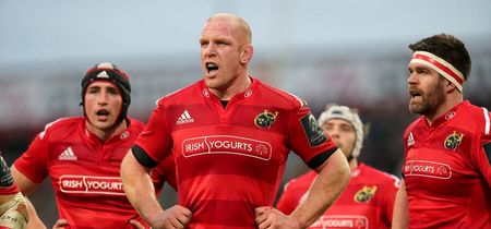 Pic: Huge Paul O’Connell tribute flag unveiled in Limerick