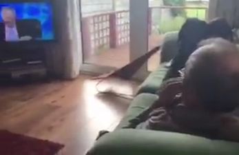 Video: Irish lad tricks his dad into thinking he’s brilliant at Countdown (NSFW)